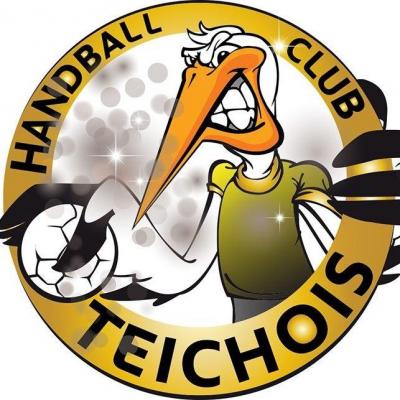HANDBALL CLUB TEICHOIS